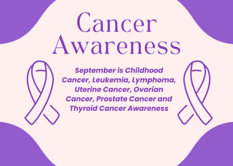 September visual data 8